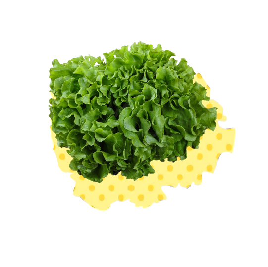 Lettuce_Caipira